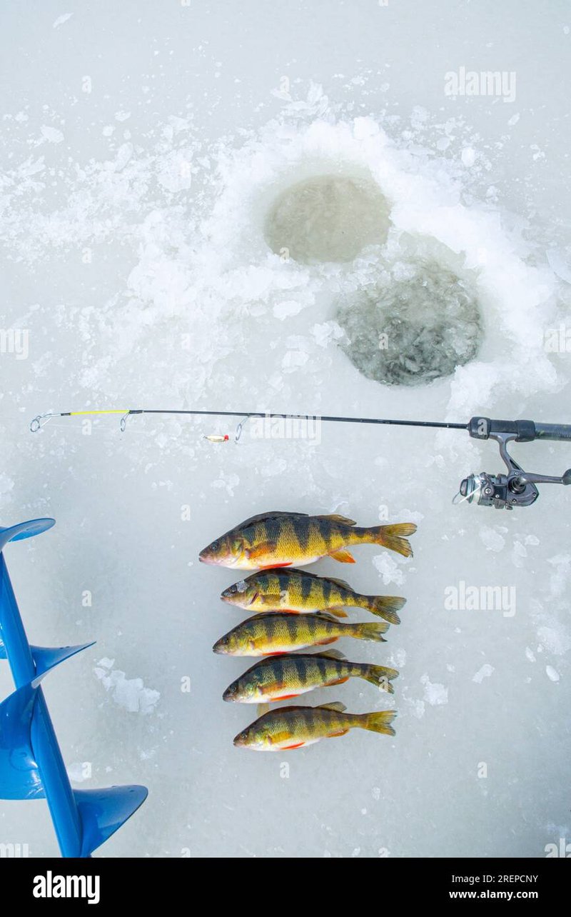 Ice fishing demo - Experience the Thrill of Ice Fishing in the UK's New Gaming Arena