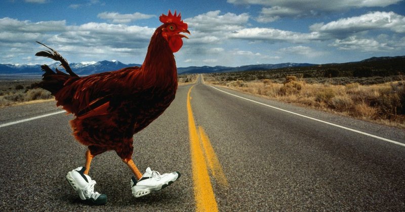Descubre el Mundo de Aventuras de Chicken Road en España - overview Descubre el Mundo de Aventuras de Chicken Road en España - overview